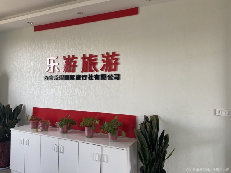 跟团游热度持续攀升:旅行新风尚来袭